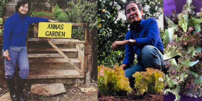 Green Finger Bukan Alasan untuk Tidak Mulai Berkebun