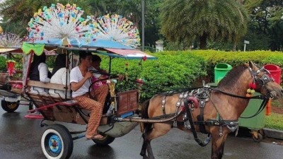 Delman, Ironi Kuda yang Tak Pernah Lelah