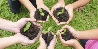 4 Manfaat Berkebun untuk Kesehatan Fisik dan Mental