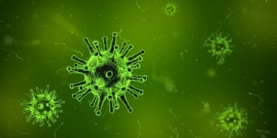 Virus Sulit Mati Akibat Pemanasan Global, Penyakit Menular Kian Mengancam